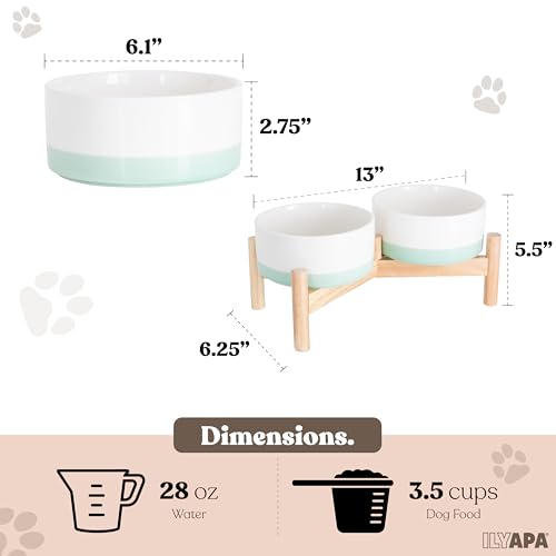 Elevated Ceramic Dog Bowls (Green)