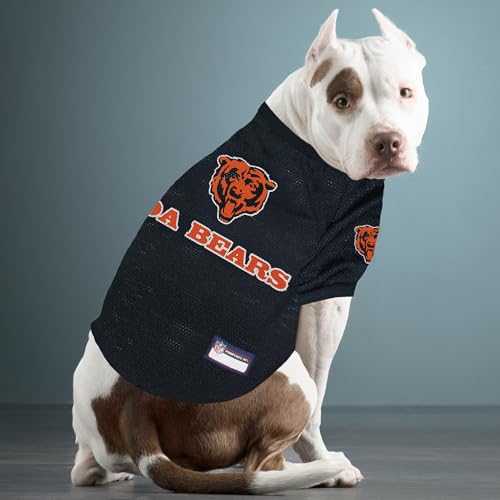NFL Chicago Bears Raglan Jersey Da Bears (Chicago Bears / X-Small)