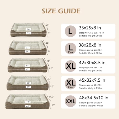 Orthopedic Dog Bed Medium Sized Dogs (L(35"L x 25"W x 8"Th) / Beige)