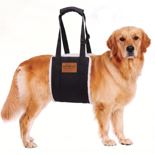 Adjustable Dog Lifting Harness (Black / Extra Large)