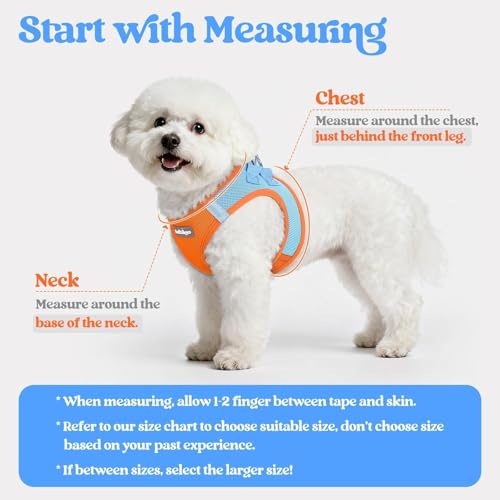 Dog Harness Medium Sized and Leash Set (Blue & Orange / L (chest: 18.2 - 20.5"))