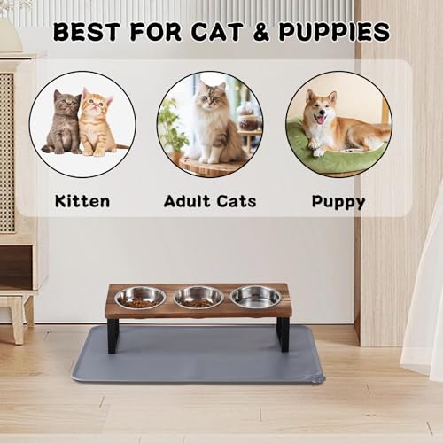 Upgraded Elevated Cat Bowls with Food Mat