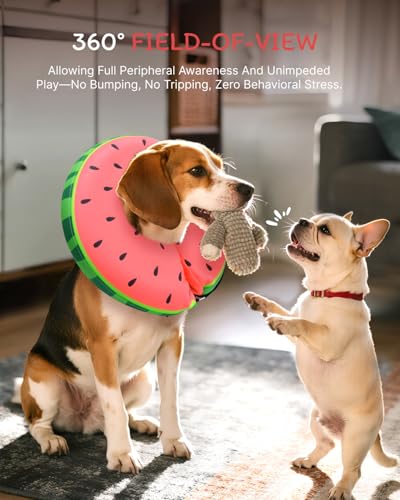 Inflatable Dog Cone (Red / S(9"-10"))