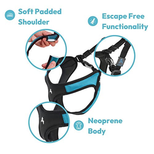 Escape Free Easy Fit Dog Harness (Small chest (16~19.25") / Blue)