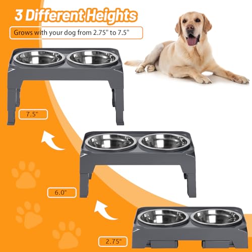 Elevated Dog Bowls with 2 Stainless Steel Dog Food & Water Raised Bowls with No Spill Edge Non (S (6" for Small Dogs) / Grey)