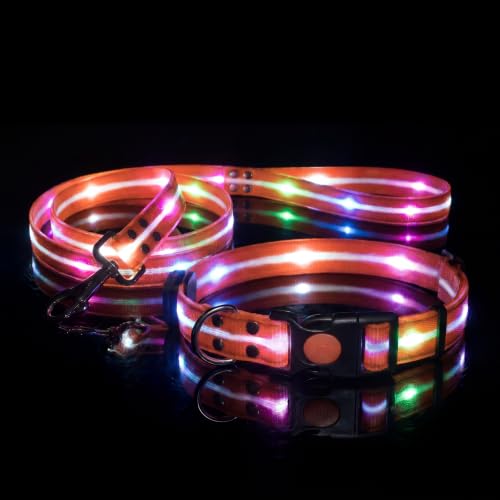 LED Dog Collar & 4 Foot Leash (Orange)