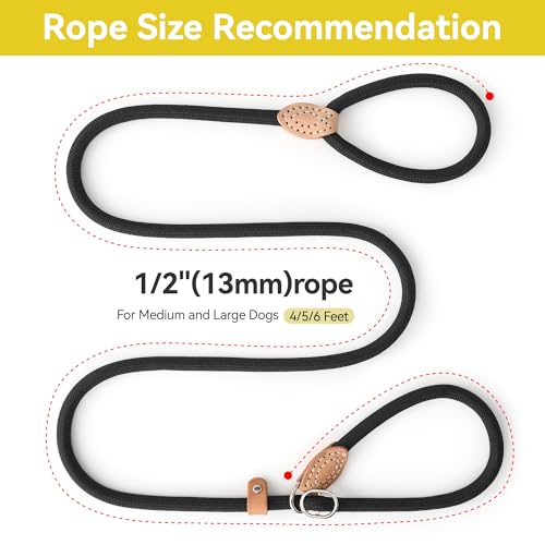 Heavy Duty Slip Lead No Pull Leash 6 (Black / 6 Feet)