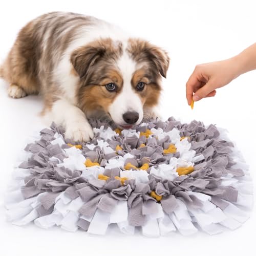 Snuffle Mat for Dogs