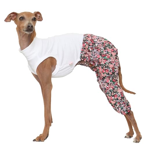 D Doggy Star Italian Greyhound Clothes Mombbe Onesie Outfit Whippet for Dog Coat (XL / Mombbe Black)