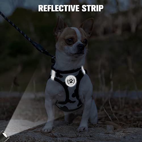Small Dog Harness and Leash Set (XX-Small(Chest Girth 11.5"-13") / Black White)