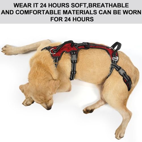 Mobility Dog Lift Harness (Red / XXL)