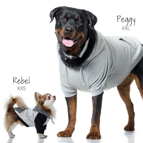 Rocky II Dog Hoodie (Navy Color Block / XX-Small (4-7 lbs))