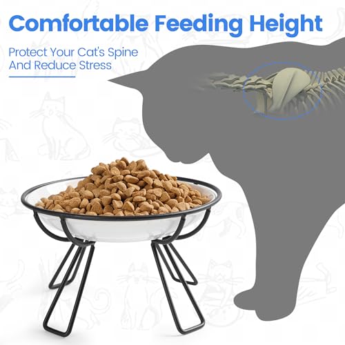 Ceramic Elevated Cat Bowls (raised dish,2 pack / line cat)