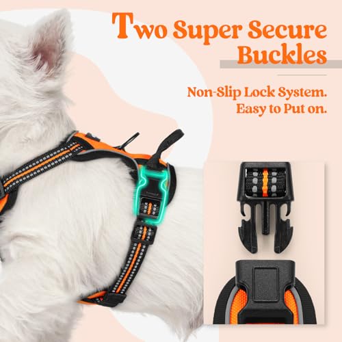 Dog Harness No Pull with 2 Leash Clips (X-Small / Orange)