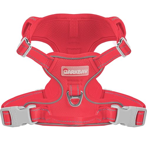 Dog Harness for Small Sized Dog No Pull Mesh 2 Clips Dog Vest (X-Small / Red-Mesh)