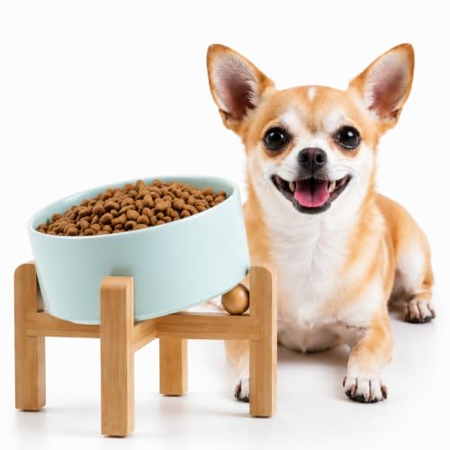 Raised Elevated 15°Slanted Ceramic Dog Bowl for Small Breeds (Blue Sky / 1.7 CUPS - Puppy/Small Dogs & Cat Bowls)