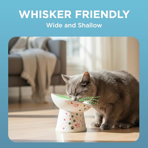 Necoichi Ceramic Raised Cat Food Bowl (Sakura / Regular Tilted)