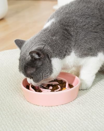 Ceramic Slow Feeder Dog Bowls Small Breed (S-0.6 Cups / 02-Pink)