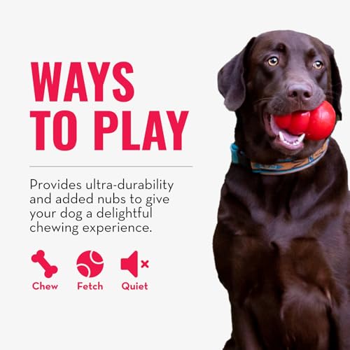 Ring Natural Rubber Chew Toy for Dental Health (Medium)