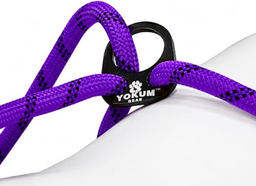 12ft No Pull No Choke Leash Long Rope Dog Leash (12 Ft / PURPLE)