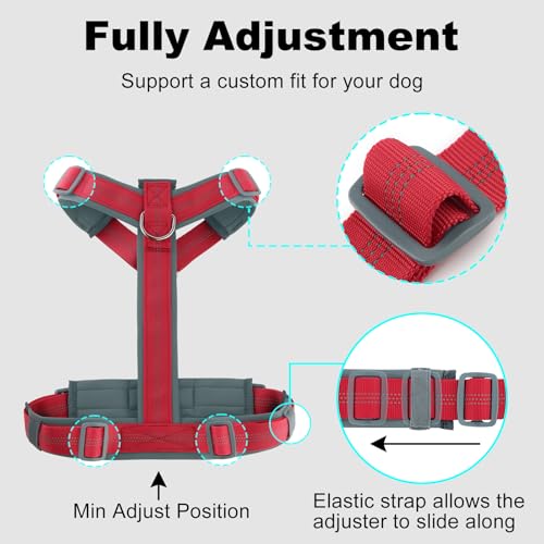No Pull Dog Harness (M / Red)