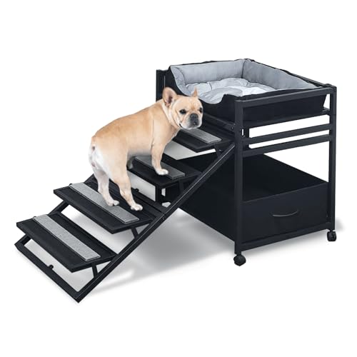 Pet Steps 2 in
