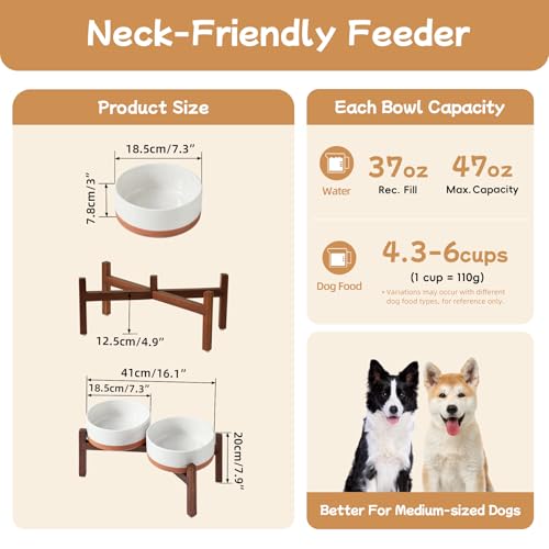 Elevated Dog Bowls (Double Bowls with Stand- Vanilla White / 5CUPS)