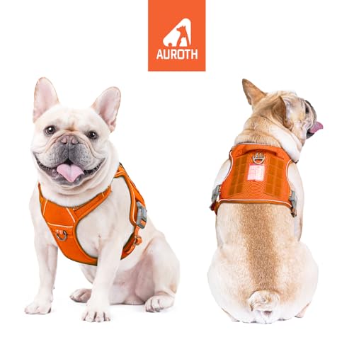 Dog Harness for Small Medium Dogs (Orange / S(Neck:14-21",Chest:20-31"),18-35 lbs)