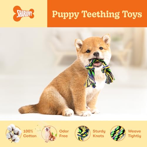 Puppy Teething Toys for Small Dogs (5 Pack / Small)