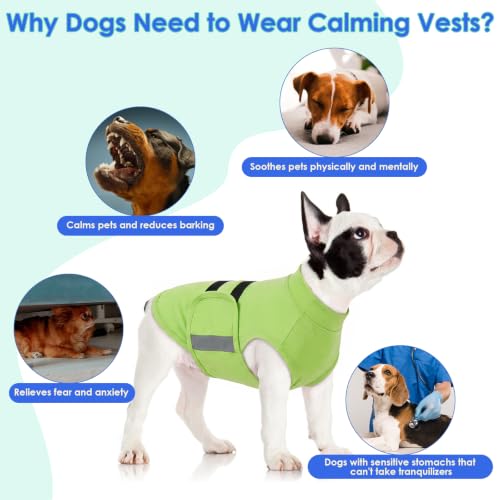 Dog Anxiety Relief Coat (LightGreen / X-Small)