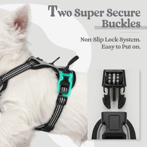 Dog Harness No Pull with 2 Leash Clips (X-Small / Gray)