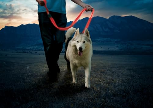 NiteDog Rechargeable LED Leash