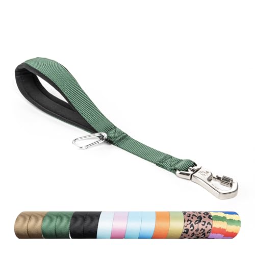 Dog Training Leash with Sturdy Metal Buckle (Size 1 - Length 14" / Green)