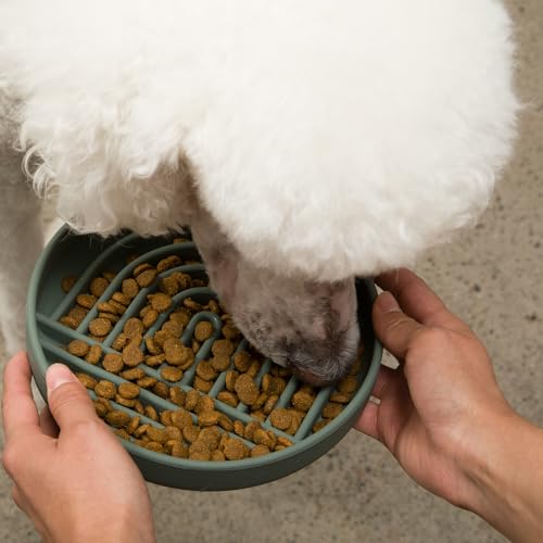 Slow Feeder Dog Bowl (Spruce - Rainbow Design / Medium (7.5” Across x 1.5” Tall))