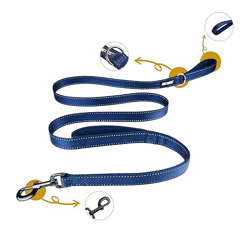 No Pull Dog Leash with Handle for Medium Large Dogs (Blue / 4FT)