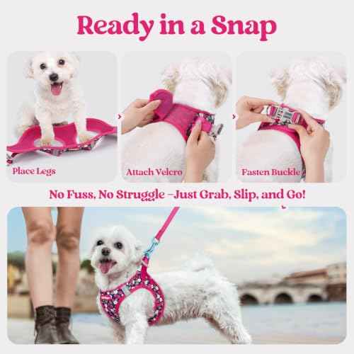 Dog Harness Small Sized and Leash Set (Pink Berry / S (chest: 15.1 - 16.5"))