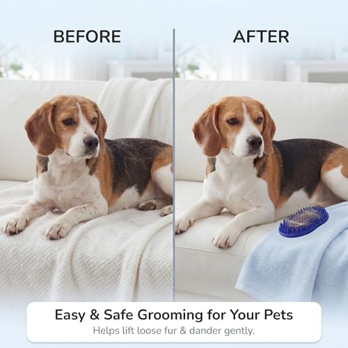 Rubber Grooming Brush for Dogs & Cats (Blue)