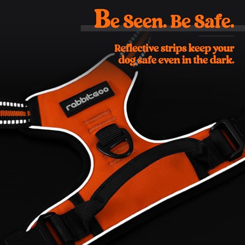 Dog Harness No Pull Medium Sized with 2 Leash Clips (Medium / Orange)