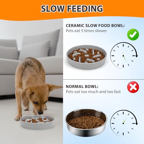 Ceramic Slow Feeder Dog Bowl (Maze - Grey / 2 Cups)