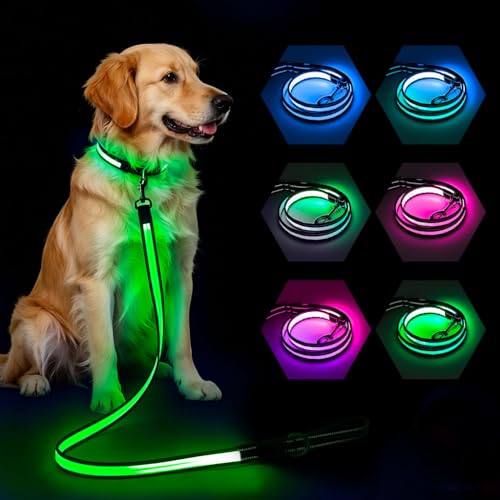 Light Up Dog Leash 5FT Double (5 Ft)