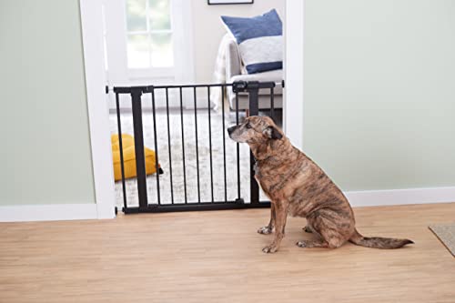 Easy Install 28'' Walk Thru Gate (1-Pack / 29" to 38" Wide x 28" Tall / Black)