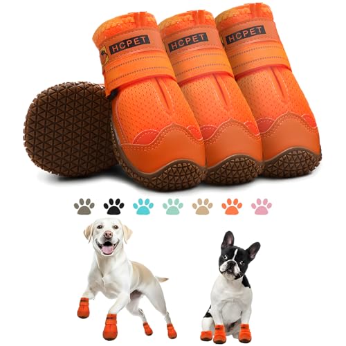 Dog Shoes for Dogs (Orange / Width 1.96 in)