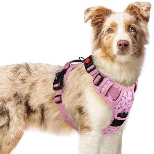 Dog Harness Medium Sized (Medium / Floral Pink)