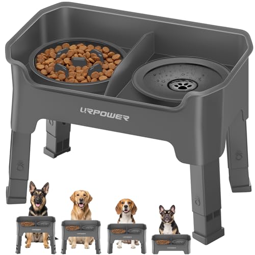 Mess Proof Elevated Dog Bowls 4 Height Adjustable Raised Stand (Grey / Large)