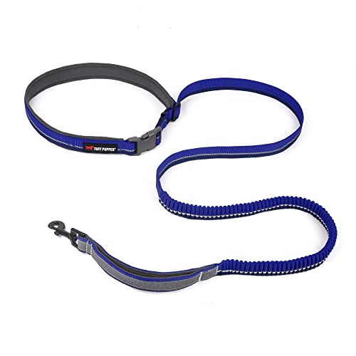 Hands Free Bungee Dog Leash (Blazing Blue)