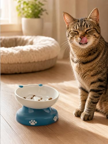 Ceramic Slow Feeder Cat Bowl (Blue)