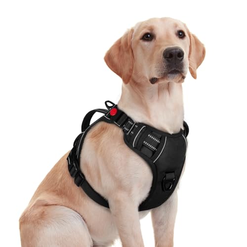 Large Dog Harness (Medium / Black)