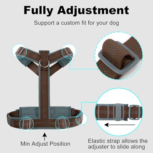 No Pull Dog Harness (S / Chocolate)