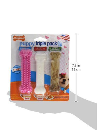 New Puppy Starter Kit (Pink / Small)