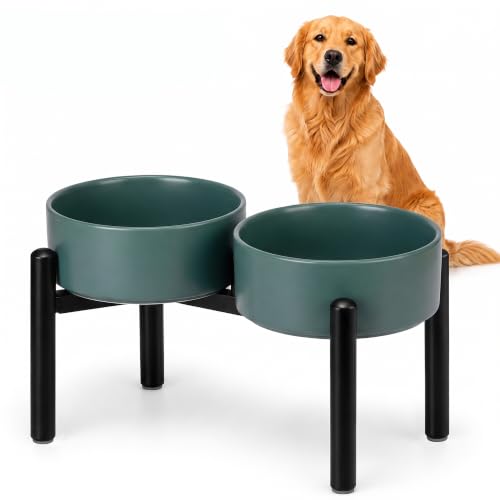 Raised Ceramic Dog Bowl Set with Stand (Green / 2 Bowls - 7.5 Cups Each)